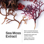 Manuka Honey Sea Moss Post-Shave Oil