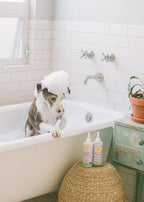 (No Fragrance) Super Sensitive™ Puppy + Dog + Kitty Wash & Conditioner Set