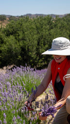 (Certified Organic)™ Lavender Sachet